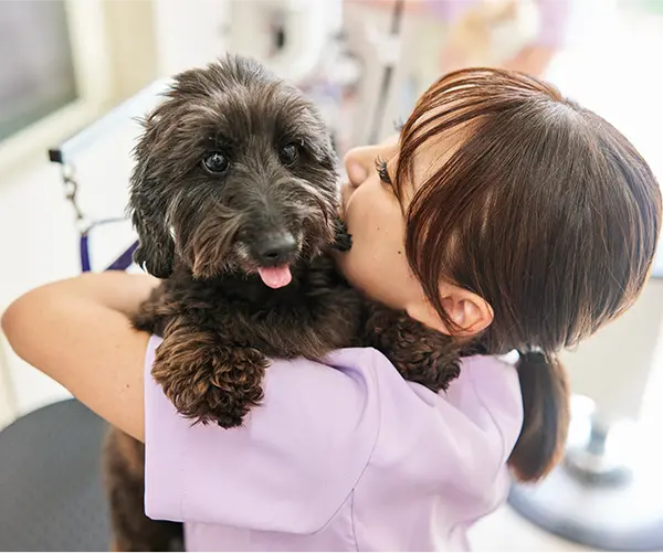 スクロール画像