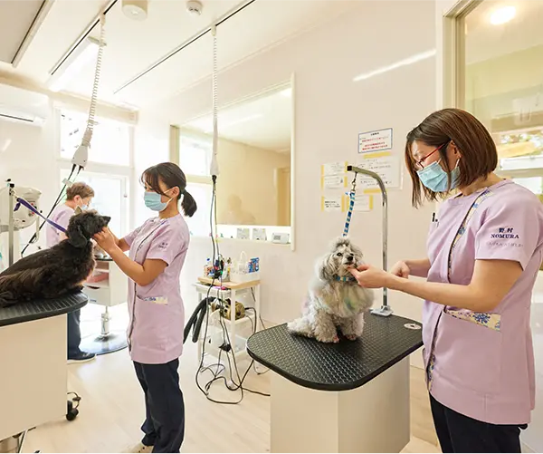 スクロール画像