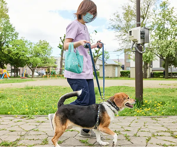 スクロール画像